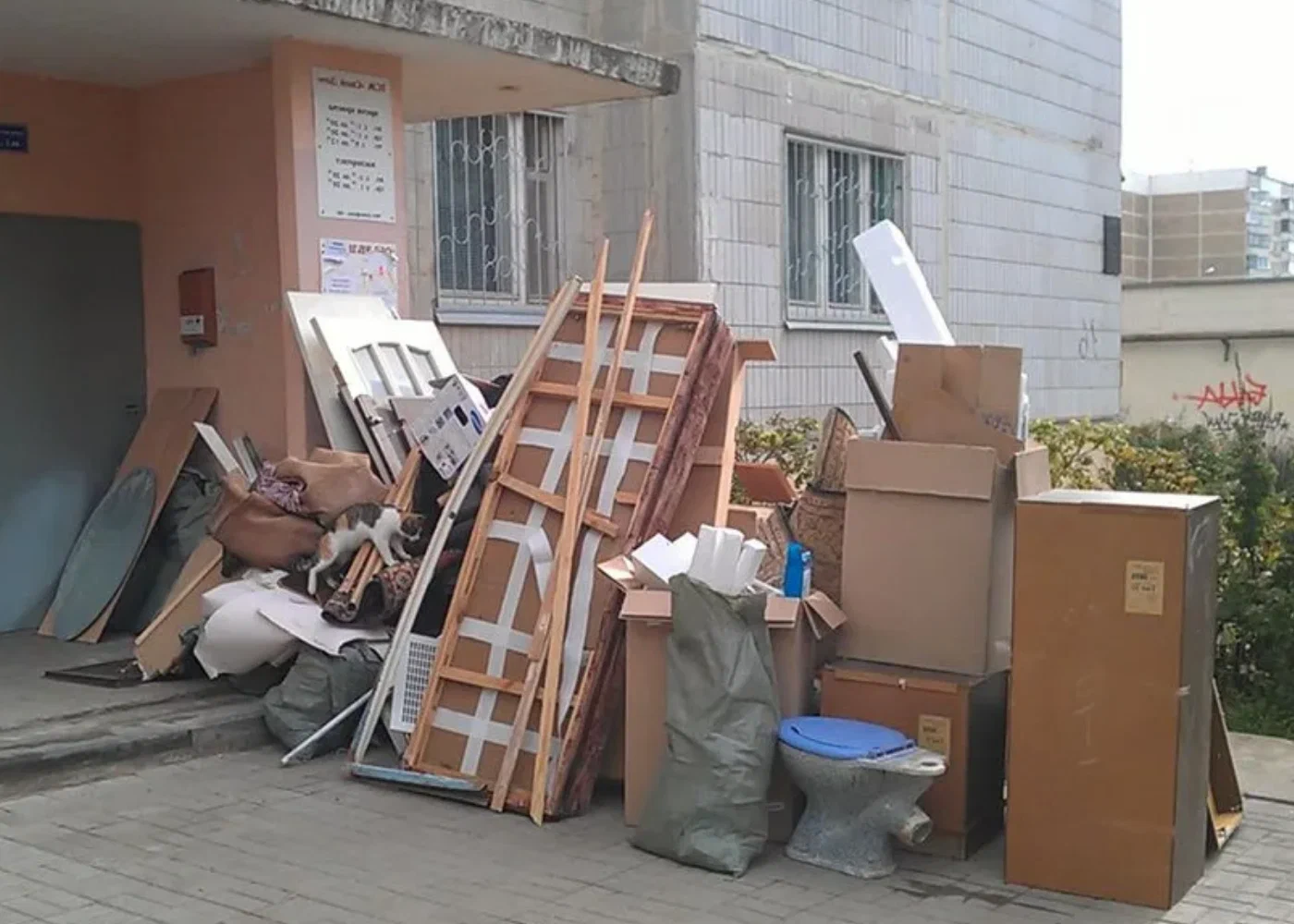 Профессиональный вывоз мусора из квартиры в Старом Осколе в октябре