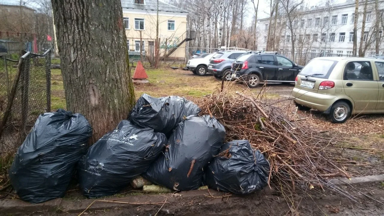 Вывоз мусора после субботника в Старом Осколе от ПроМусор – уборка и утилизация отходов от 2377 руб