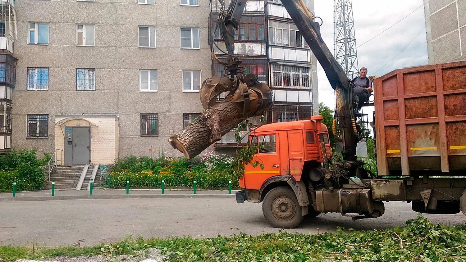Вывоз спиленных веток и деревьев в Старом Осколе от ПроМусор: порубочные остатки, утилизация, цена от 2934 руб