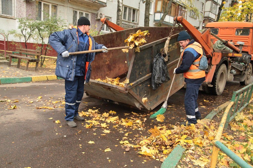 Вывоз опавшей листвы и растительного мусора в Старом Осколе от ПроМусор – цена от 4553 руб., быстрая уборка и утилизация